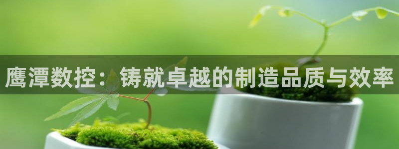 天辰娱乐 首选:鹰潭数控:铸就卓越的制造品质与效率