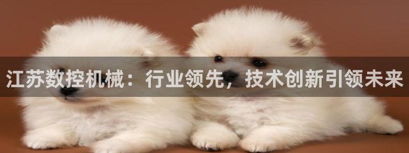 天辰娱乐说:江苏数控机械:行业领先,技术创新引领未来