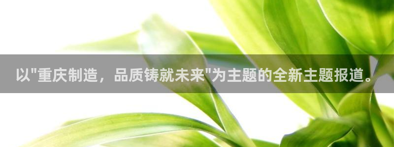 天辰娱乐平台地址:以\