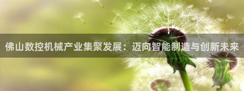 天辰娱乐线路:佛山数控机械产业集聚发展:迈向智能制造与创新未来