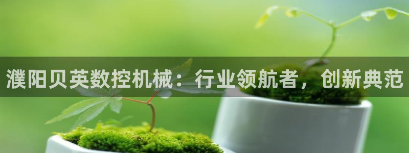 天辰娱乐分红:濮阳贝英数控机械:行业领航者,创新典范