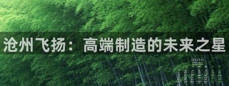 广东天辰娱乐:沧州飞扬:高端制造的未来之星