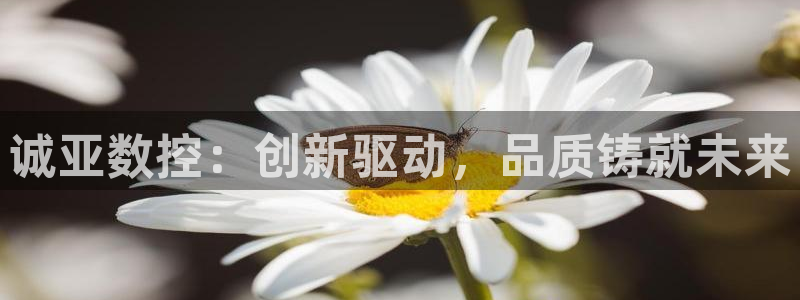 天辰娱乐平台娱乐注册:诚亚数控:创新驱动,品质铸就未来