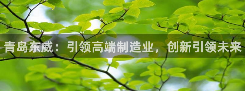 天辰娱乐 39974:青岛东威:引领高端制造业,创新引领未来