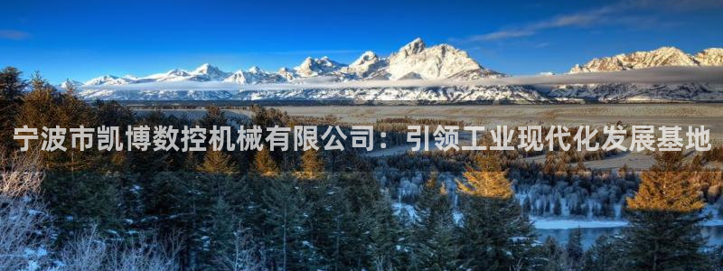天辰娱乐 . 鱼刺:宁波市凯博数控机械有限公司:引领工业现代化发展基地