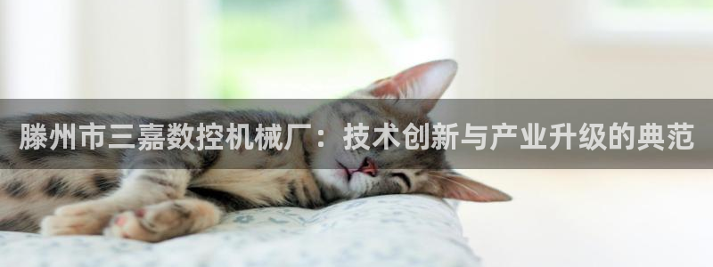 天辰娱乐主管:滕州市三嘉数控机械厂:技术创新与产业升级的典范